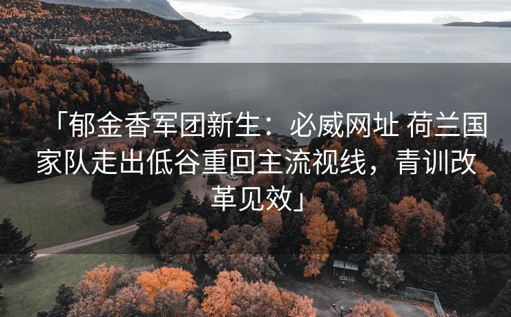 「郁金香军团新生：必威网址 荷兰国家队走出低谷重回主流视线，青训改革见效」